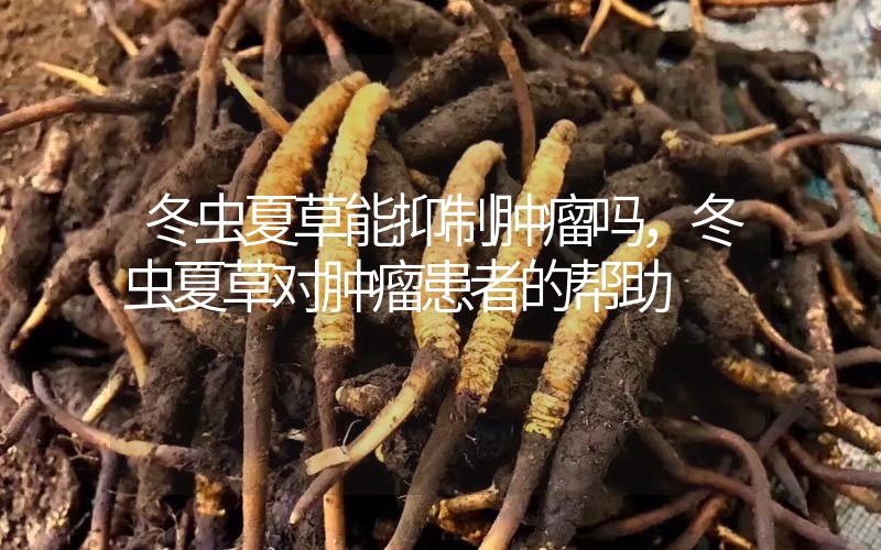 冬蟲(chóng)夏草能抑制腫瘤嗎？冬蟲(chóng)夏草對(duì)腫瘤患者的幫助