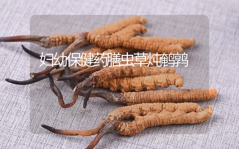 婦幼保健藥膳-蟲草燉鵪鶉，冬蟲夏草食用方法