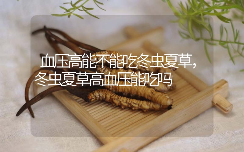 血壓高能不能吃冬蟲夏草，冬蟲夏草高血壓能吃嗎？