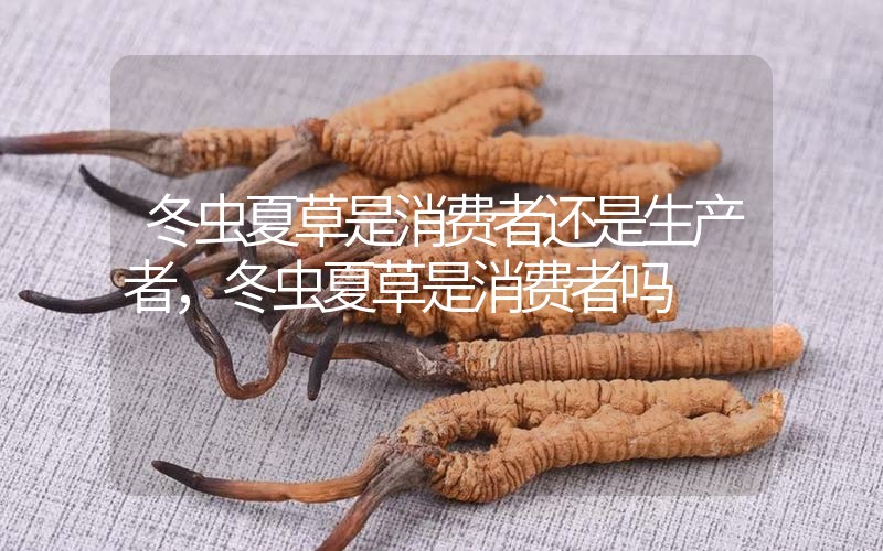 貧血吃冬蟲夏草有效果嗎，貧血虛弱者可以用冬蟲夏草嗎？