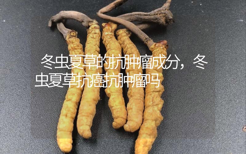 冬蟲夏草的抗腫瘤成分，冬蟲夏草抗癌抗腫瘤嗎？