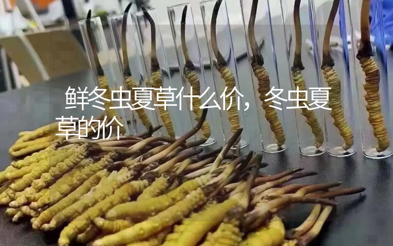 鮮冬蟲夏草什么價(jià)，冬蟲夏草的價(jià)格
