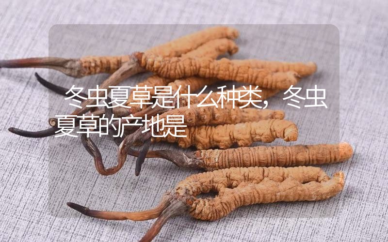 冬蟲夏草是什么種類，冬蟲夏草的產(chǎn)地是