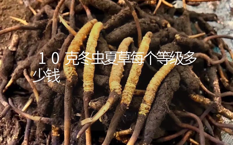 10克冬蟲夏草每個等級多少錢？