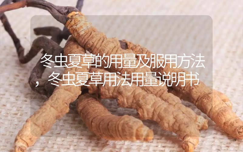冬蟲夏草的用量及服用方法，冬蟲夏草用法用量