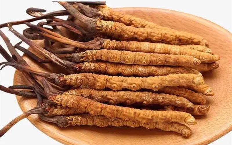 冬蟲(chóng)夏草作用可以美容嗎?（蟲(chóng)草美容養(yǎng)顏）