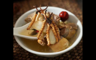 冬蟲(chóng)夏草美容的作用介紹