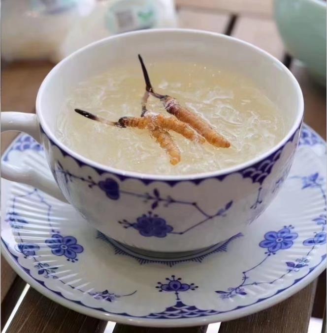 養(yǎng)生小竅門：冬蟲夏草燉什么好喝？