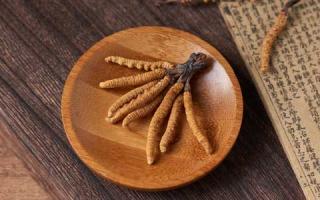 冬蟲夏草的顏色和質(zhì)地，如何通過外觀來辨別不同品種？