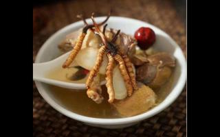 冬蟲(chóng)夏草燉乳鴿應(yīng)該怎么做？