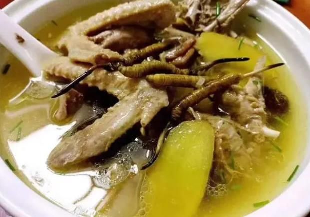 冬蟲夏草和哪些食材可以一起煲湯？