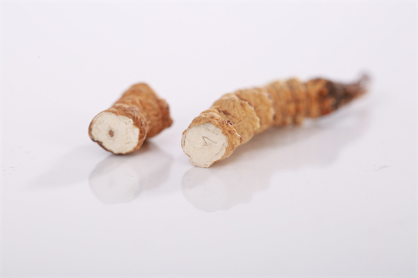 冬蟲(chóng)夏草和魚(yú)筋搭配怎么吃？