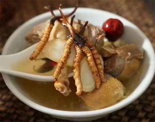 小孩子可以吃冬蟲夏草嗎？