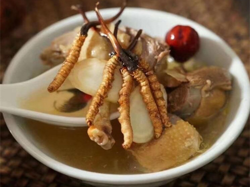 冬蟲(chóng)夏草能止咳嗎？冬蟲(chóng)夏草的某些成分可以減少痰液分泌
