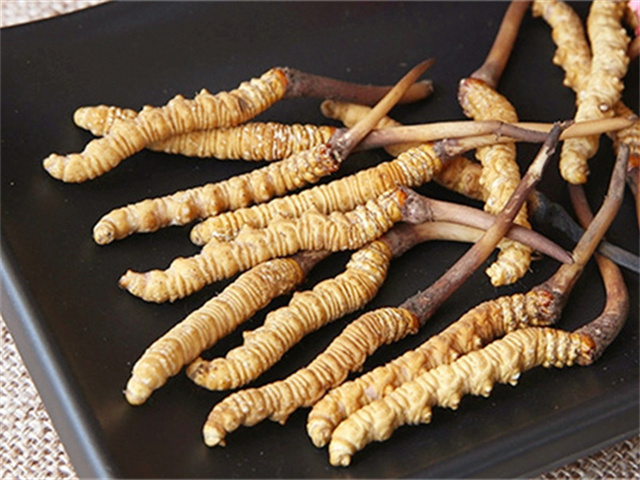 真的冬蟲夏草什么價(jià)格？影響冬蟲夏草價(jià)格波動(dòng)的3個(gè)關(guān)鍵因素