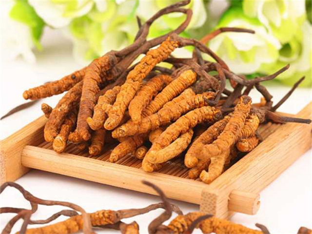 懷孕可以喝冬蟲(chóng)夏草嗎？懷孕期間吃冬蟲(chóng)夏草的4個(gè)建議