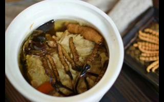 冬蟲夏草怎么食用？解鎖滋補養(yǎng)生的正確打開方式