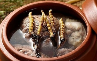 冬蟲(chóng)夏草燉排骨 | 滋補(bǔ)養(yǎng)生的家常做法