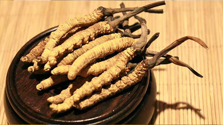 火眼金睛:教你辨別冬蟲夏草真假