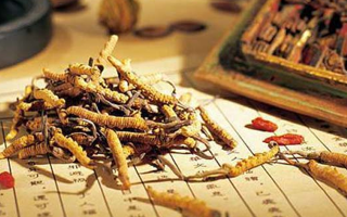 同仁堂健康冬蟲夏草：傳承品質(zhì)，饋贈健康