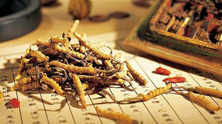 長期吃冬蟲夏草的好處：傳統(tǒng)滋補與現(xiàn)代健康的奇妙碰撞