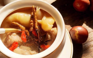 冬蟲(chóng)夏草與什么泡水喝？養(yǎng)生搭配指南