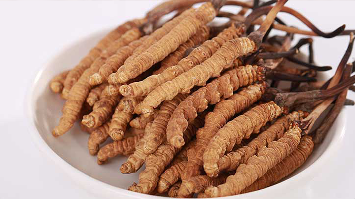 冬蟲夏草燉水鴨，搭配這些食材更滋補(bǔ)