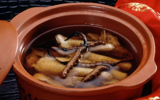 糖尿病可服用冬蟲夏草嗎？科學(xué)解析其調(diào)理價(jià)值與注意事項(xiàng)