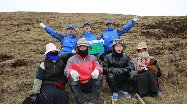 西藏冬蟲夏草的主要產(chǎn)地:品質與地域特色詳解