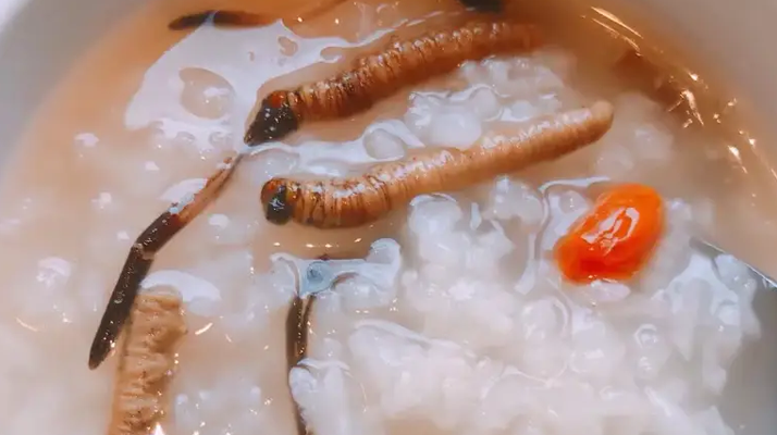 冬蟲夏草適合哪些人群？精準(zhǔn)匹配與禁忌提醒