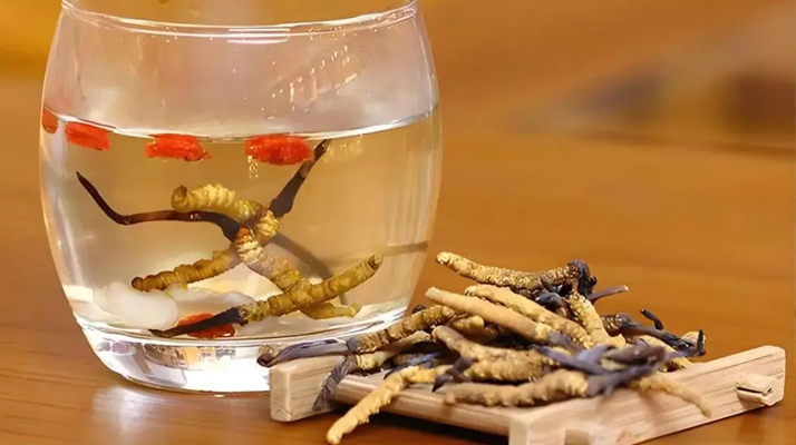 長期喝冬蟲夏草泡水好嗎？科學分析與飲用指南