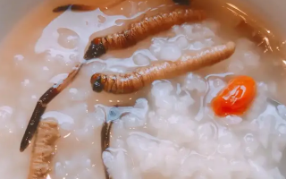 冬蟲夏草適合哪些人群？精準(zhǔn)匹配與禁忌提醒