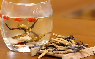 長期喝冬蟲夏草泡水好嗎？科學(xué)分析與飲用指南