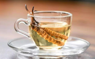 一瓶酒泡多少冬蟲(chóng)夏草？科學(xué)搭配有講究