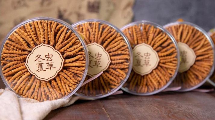 把握黃金時(shí)段！冬蟲(chóng)夏草在這些時(shí)候吃效果更佳