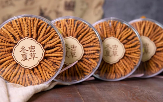 把握黃金時(shí)段！冬蟲(chóng)夏草在這些時(shí)候吃效果更佳