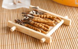 這些藥材形似冬蟲夏草，辨別要點(diǎn)需牢記