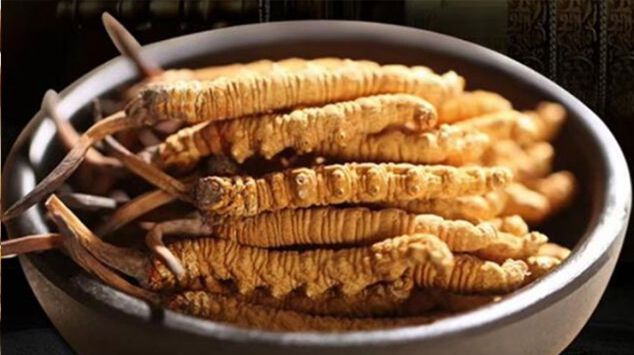 冬蟲夏草效果好不好用？科學(xué)與實(shí)踐視角下的全面解析