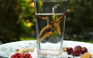 冬蟲(chóng)夏草能空腹泡水喝嗎？不同人群需區(qū)別對(duì)待