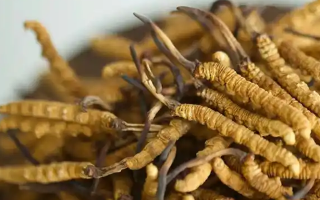 孕婦如何服用冬蟲夏草？安全滋補(bǔ)指南