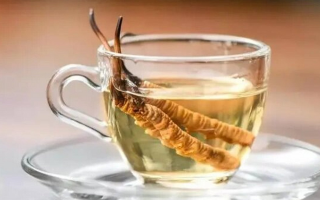 十根冬蟲夏草泡多少酒？科學(xué)配比與實(shí)操指南