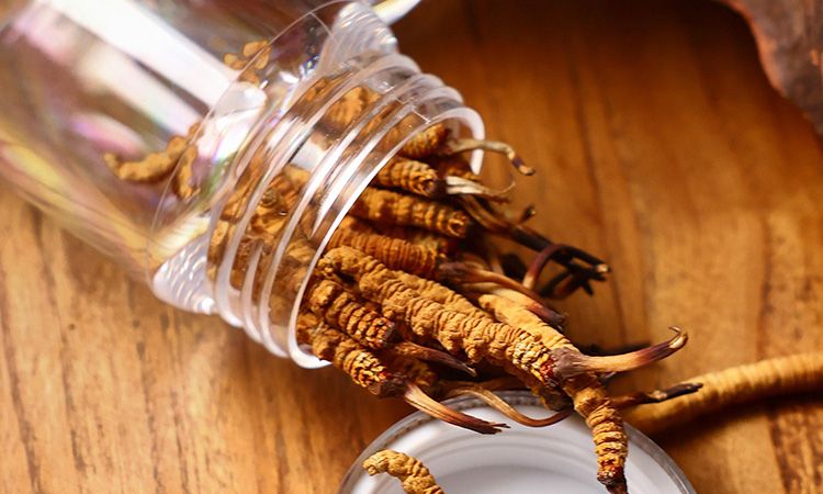 <a href=http://www.yananski.com/jiage/ target=_blank class=infotextkey>冬蟲(chóng)夏草多少錢(qián)</a>一條 