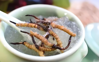 十根冬蟲(chóng)夏草能泡幾斤酒？泡酒比例與細(xì)節(jié)指南