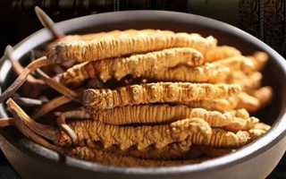 冬蟲夏草掰開后什么樣？從斷面細節(jié)識破品質(zhì)與真?zhèn)?> </div>
            <div   id=