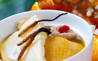 黃芪能和西藏那曲的冬蟲夏草一起燉嗎？