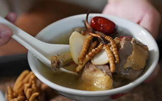 冬蟲夏草和什么一起燉可以治咳嗽？