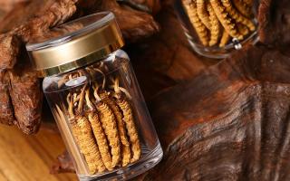 冬蟲(chóng)夏草養(yǎng)生指南：分清滋補(bǔ)功效，避開(kāi)養(yǎng)生誤區(qū)