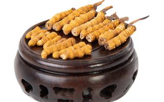 冬蟲(chóng)夏草的頭期斷草好嗎？有沒(méi)有營(yíng)養(yǎng)價(jià)值？