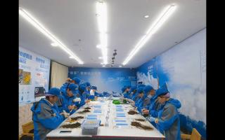 新挖蟲(chóng)草加工流程的標(biāo)準(zhǔn)化 SOP 文檔