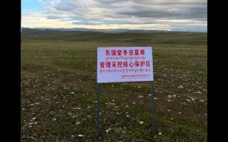 高原之上，蟲(chóng)草共生；守護(hù)生態(tài)，東強(qiáng)堂與你同行